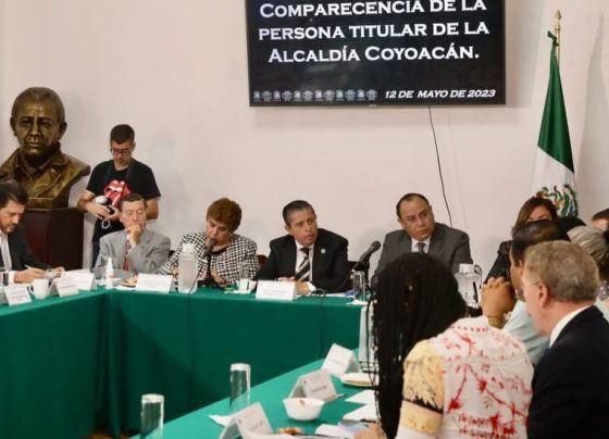 En 18 meses hay más resultados en Coyoacán que en los últimos 6 años, Giovani Gutiérrez