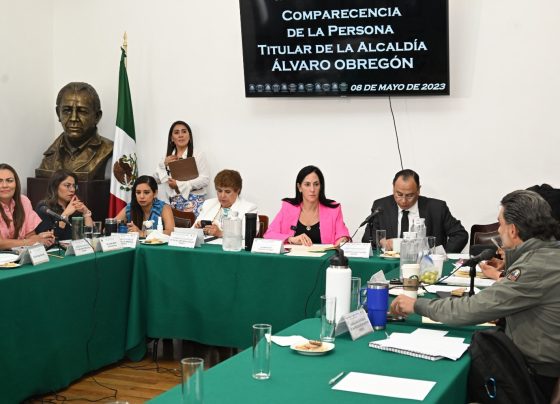 Las diputadas de Morena, Valentina Batres y Xóchitl Bravo salieron frustradas de la comparecencia de la alcaldesa de Álvaro Obregón, la aliancista opositora Lía Limón, porque por más que le atizaron junto con otras y otros legisladores de Morena y sus aliados, no pudieron con ella en la comparecencia ante Comisiones del Congreso de la CDMX