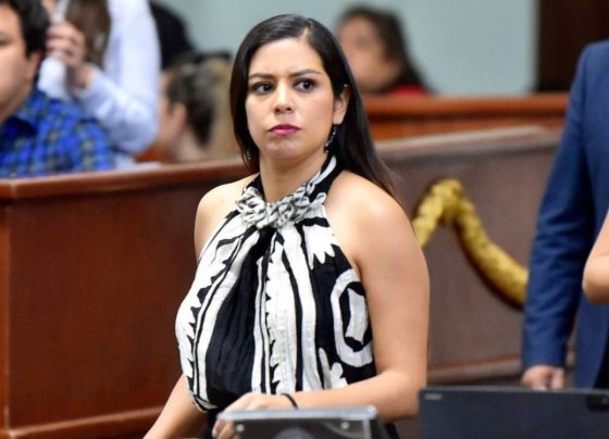 Un duro juicio corre a cargo de la vicecoordinadora de los diputados locales del PAN, Luisa Gutiérrez Ureña, quien hasta pide a la Comisión Nacional de Derechos Humanos (CNDH) intervenir y emitir las recomendaciones pertinentes: para la jefa de Gobierno, “por descuidar la agenda de seguridad para las mujeres”, y para la “fiscal Ernestina Godoy