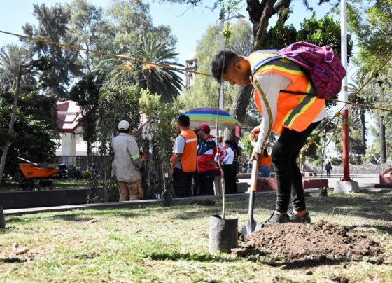 Las Jornadas Integrales de Cultura de Paz e Intervención de Espacios Públicos, impulsadas por la Consejería Jurídica y de Servicios Legales (CEJUR) de la Ciudad de México, son parte de la estrategia de convivencia pacífica y de una cultura de la paz para infractores.