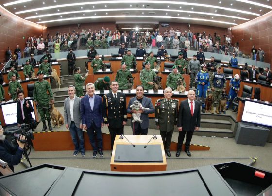 Plantea Eduardo Ramírez reforma para proteger a caninos del maltrato de los humanos