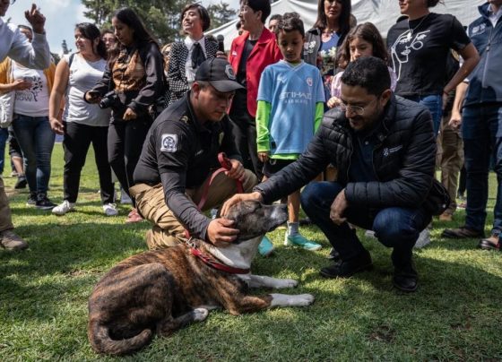 El jefe de Gobierno Martí Batres encabezó la presentación del proyecto “Ciudad de los Perros y de los Gatos”, que formará parte de la Brigada de Vigilancia Animal (BVA), perteneciente a la Secretaría de Seguridad Ciudadana (SSC), donde los animales abandonados podrán recuperarse física y emocionalmente para luego ser adoptados.