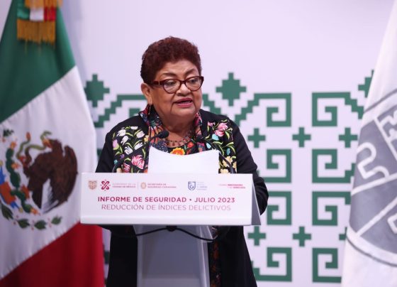 Pero mañana viernes que Godoy debe comparecer ante el Congreso para presentar su “Plan de Política Criminal” no se atreverá a ir, porque teme de personas que se manifiesten para reclamarle la falta de resultados. FOTO: Especial (GCDMX)