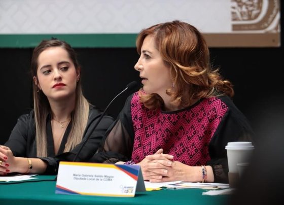 Morena obstaculiza rendición de cuentas del titular de Seduvi, acusan
