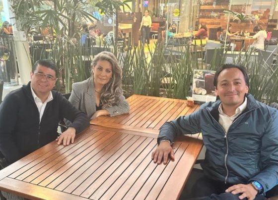 Como un valde de agua debió haberle caído al alcalde de Cuajimalpa, el priísta Adrián Rubalcava –al parecer el destinatario–, el acuerdo de los tres partidos que conforman el Frente Amplio por México (PAN, PRI y PRD), de que se van a ajustar a los tiempos legales marcados por el IECM. FOTO: X / Nora Arias, presidenta PRD CDMX