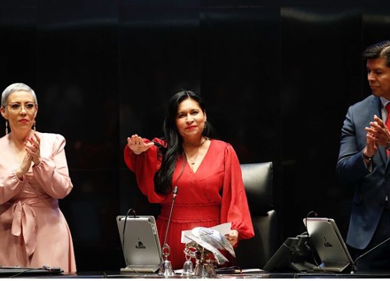 Ana Lilia Rivera, presidenta del Senado de la República,  puede ir al proceso de reelección sin tener que solicitar licencia y tampoco separarse del cargo que ostenta en la cámara alta. FOTO: Senado de la República