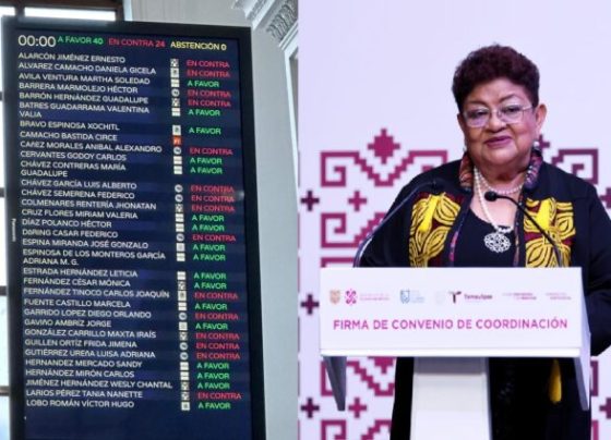 echazan ratificación de Godoy