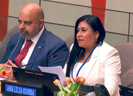 En la Audiencia Parlamentaria Anual en Naciones Unidas, advierte que 2023 se caracterizó por presentar mayores índices de conflictos armados desde el fin de la Segunda Guerra Mundial. FOTO: Senado