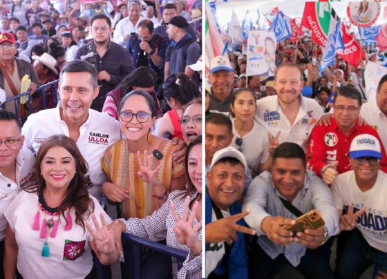 La candidata a la Jefatura de Gobierno, Clara Brugada, prometió durante su campaña en la Alcaldía Coyoacán que de llegar a ser la mandataria de la capital existirán políticas públicas que salvaguarden la vida y el bienestar de perros y gatos. FOTOS: Especial