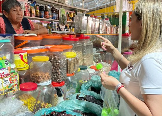 Esta semana comerciantes informales ubicados en el centro histórico de Coyoacán comenzaron a vender sus mercancías sobre lonas con la imagen de Hanna de la Madrid, candidata a la alcaldía Coyoacán por el partido de Morena. FOTO: @hdelamadrid