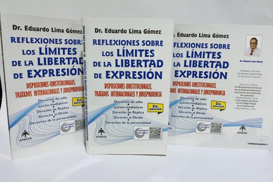 De ser así, ¿está permitido a los particulares generar discursos de odio, exhibiciones mediáticas en contra de una persona, o, presentar públicamente documentos relacionados con su vida privada?