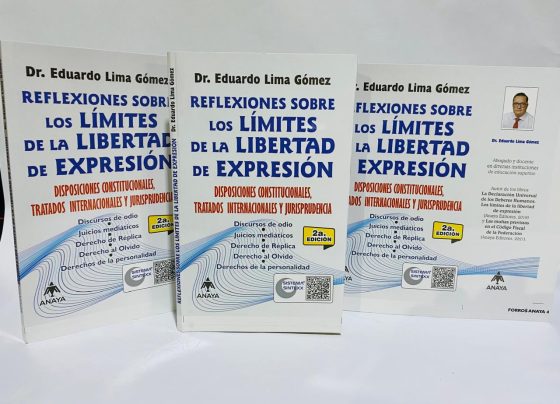 De ser así, ¿está permitido a los particulares generar discursos de odio, exhibiciones mediáticas en contra de una persona, o, presentar públicamente documentos relacionados con su vida privada?