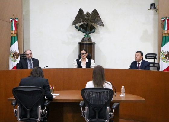 Aunque con una reacción bastante lenta, la Sala Regional del Tribunal Electoral del Poder Judicial de la Federación (TEPJF) emitió un comunicado en el que precisa que por ser un recurso parcialmente infundado, sólo ordenó el recuento en 73 casillas de la Alcaldía Cuauhtémoc, de un total de 861. FOTO: TEPJF