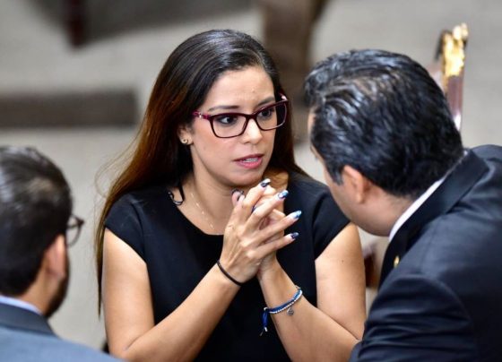 La diputada y vicecoordinadora del PAN en el Congreso de la Ciudad de México, Luisa Gutiérrez Ureña denunció la proliferación de clínicas clandestinas en CDMX, y urgió identificarlas para poderlas clausurar, ya que ponen en riesgo la salud de los capitalinos. FOTO: Especial