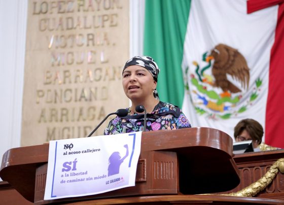 La Diputada panista Lizzette Salgado Viramontes presentó una iniciativa de reforma al artículo 179 del Código Penal del Distrito Federal, para castigar el acoso callejero y que en caso de existir, la pena se incremente en una tercera parte.
