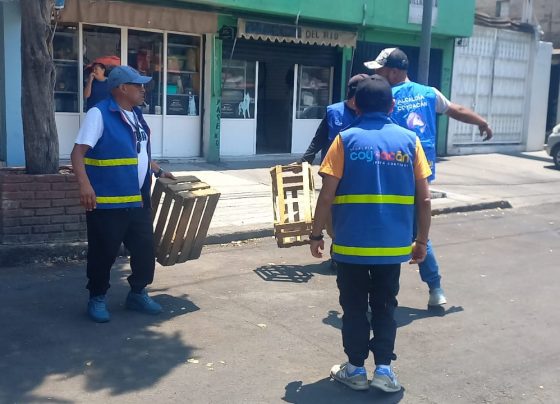 Coyoacán retira 14 toneladas de mostrencos y estorbos para liberar calles