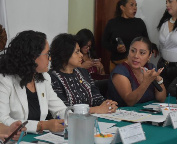 Si bien en la Alcaldía Tlalpan aún falta solucionar diversas problemáticas, hay que reconocer que la Titular de esta demarcación, Gabriela Osorio Hernández, sí destina el presupuesto público en lo que las y los habitantes verdaderamente necesitan y además transparenta su manejo, aseguró la diputada Xóchitl Bravo Espinosa.