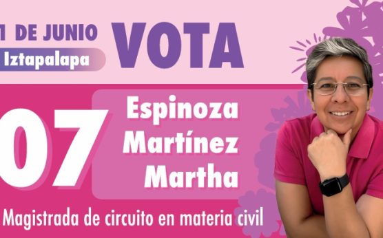 Martha Espinoza Martínez, candidata a magistrada de circuito en materia civil por el Distrito 01 de Iztapalapa, identificada en boleta rosa con el número 07, propone impulsar la creación de un organismo civil, apartidista, ciudadano, para regular la actividad de los abogados en el país y así la justicia funcione.
