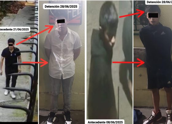 En el marco de la estrategia de seguridad #BlindarBJ360, elementos de proximidad lograron la detención de dos individuos de 15 y 24 años, presuntamente implicados en un robo a comercio en la colonia Vértiz Narvarte.
