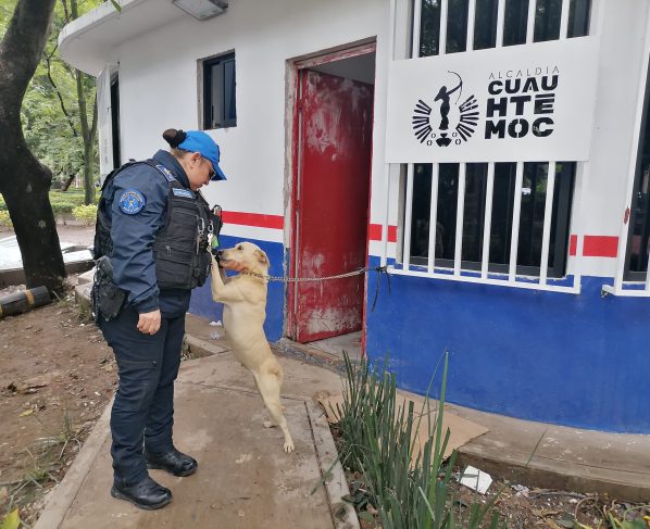 “Abandonar a un animal no solo es cruel, es un delito”, acusa Rojo de la Vega.