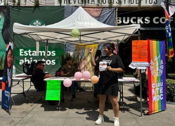 Con el impulso de la alcaldesa Alessandra Rojo de la Vega, la Alcaldía Cuauhtémoc puso en marcha la jornada “Diversidad en tus manos”, un programa diseñado para abrir nuevas oportunidades a juventudes de la demarcación.