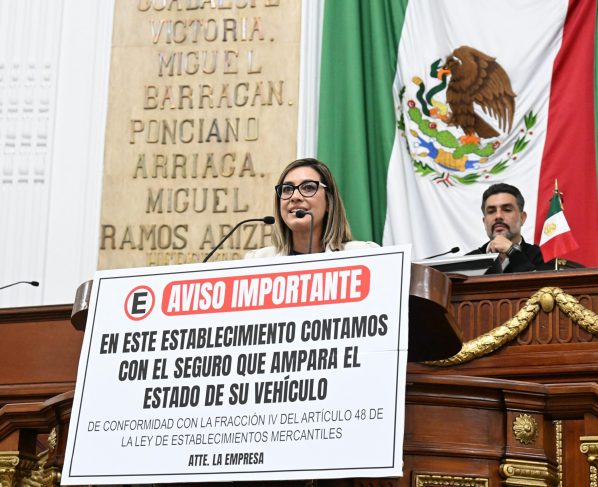 Impulsa PT reforma contra ‘estacionamientos mafiosos’, Jannette Guerrero, diputada PT. FOTO: Especial
