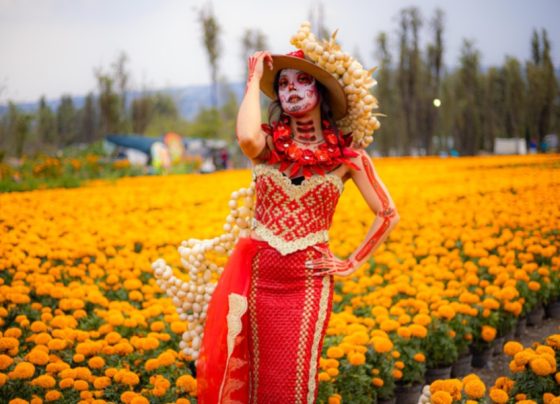 CDMX celebrará el Día de Muertos con 500 actividades