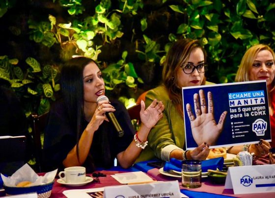 La presidenta del PAN en la Ciudad de México, Luisa Gutiérrez dijo que priorizarán, las causas ciudadanas y no las alianzas con otros partidos políticos. FOTO: Especial