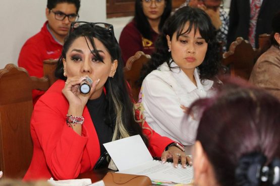 La concejala del Partido del Trabajo (PT), María Esther Rodríguez de la Serda acusó al Instituto Electoral de la Ciudad de México (IECM) de negarle las medidas cautelares ante una acusación que presentó de haber sido presuntamente víctima de violencia política contra la mujer en razón de género. FOTO: PT