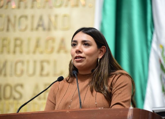 El pleno del Congreso capitalino solicitó a la Secretaría de Seguridad Ciudadana y la Subsecretaría de Programas de Alcaldías y Reordenamiento de la Vía Pública del gobierno de la Ciudad de México, en colaboración con la alcaldía Xochimilco, realizar operativos de verificación y clausura de establecimientos clandestinos en la vía pública dedicados a la venta y consumo de bebidas alcohólicas en el pueblo de San Gregorio Atlapulco. FOTO: Especial