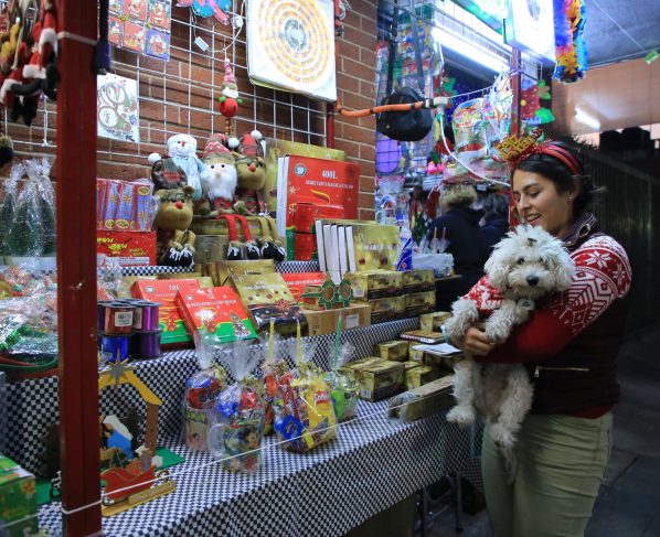 Con el objetivo de impulsar el comercio local durante la temporada decembrina, el alcalde Luis Mendoza invita a la población a visitar las romerías instaladas en los 15 mercados públicos de Benito Juárez, con las cuales, también se fomenta la convivencia familiar y se mantienen vivas las tradiciones que le dan identidad a nuestra comunidad.