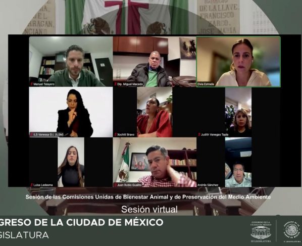 Se prevé el desarrollo de cinco foros: uno de carácter general, destinado a escuchar las diversas posturas sobre la materia, y cuatro foros temáticos orientados a la construcción de propuestas para una regulación integral.