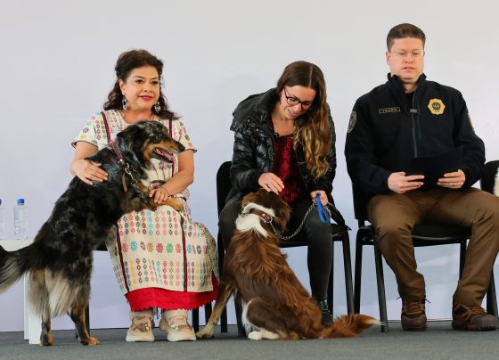 Bien que se busque evitar otros casos de maltrato animal, como el del Refugio Franciscano, pero sobre ello aquí una buena y una mala. FOTO: Especial