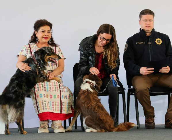 Bien que se busque evitar otros casos de maltrato animal, como el del Refugio Franciscano, pero sobre ello aquí una buena y una mala. FOTO: Especial