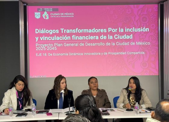 “Este Plan, que vamos a legislar en el Congreso capitalino, tiene que ver con qué queremos para nuestra ciudad durante 20 años”, expresó Xóchitl Bravo. FOTO: Especial