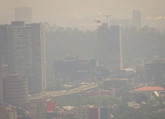 Quien sale de la CDMX tres o cuatro días, tiempo en que el cuerpo más o menos se limpia de los contaminantes, se percata de una triste realidad: al volver, apenas se abren las puertas del avión, se percibe la peste del smog, ese olor a gasolina y diésel quemado, a humo de coche de vieja tecnología de combustión. Provoca nausea y dolor de cabeza. FOTO: Cuartoscuro