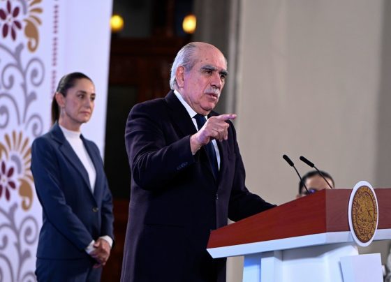 El modelo CDMX de asignación de diputados de representación proporcional, me afirman, estaría contenido en la iniciativa de reforma electoral que anunció la presidenta Claudia Sheinbaum va a presentar este miércoles al Poder Legislativo. FOTO: Especial