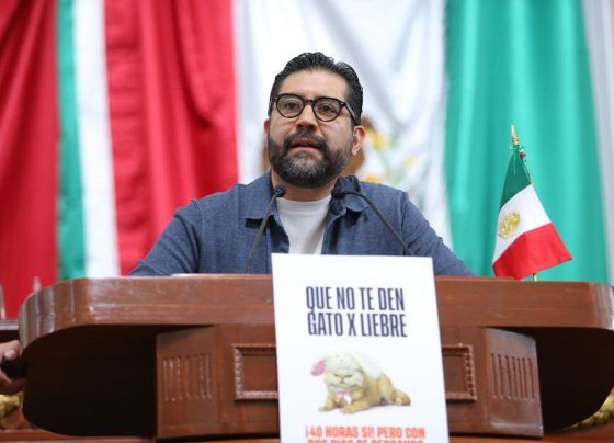 El coordinador de Movimiento Ciudadano, Royfid Torres dio tremenda exhibida al Gobierno, por el tema de la reforma laboral para reducir el número de horas laborables a la semana. FOTO: Especial