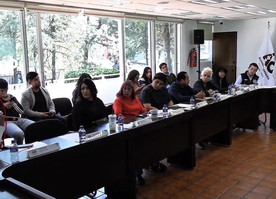 En la “7ta Sesión Ordinaria del Concejo 2024-2027” de Álvaro Obregón, celebrada el pasado 28 de febrero la concejala Carla Joselín González Ruiz, de Morena, denunció haber sido agredida por gente enviada por el director general de Gobierno, Humberto González.