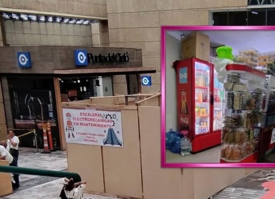 Así como en el Congreso de la Ciudad de México (antes Asamblea Legislativa) surgieron las primeras iniciativas de ley para sacar de las escuelas de educación básica los alimentos chatarra, aquí también podría surgir la primera iniciativa de Ley para erradicar de los hospitales públicos, especialmente el IMSS y el ISSSTE, la comida chatarra,