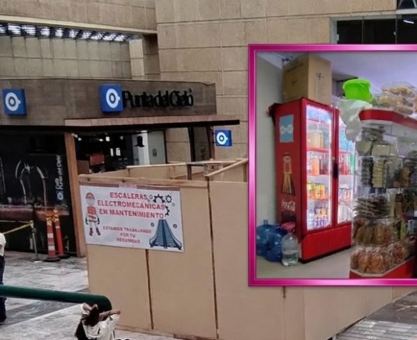 Así como en el Congreso de la Ciudad de México (antes Asamblea Legislativa) surgieron las primeras iniciativas de ley para sacar de las escuelas de educación básica los alimentos chatarra, aquí también podría surgir la primera iniciativa de Ley para erradicar de los hospitales públicos, especialmente el IMSS y el ISSSTE, la comida chatarra,