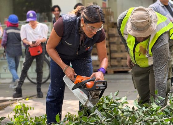 Ale Rojo encabeza megapoda en Condesa, Hipódromo y Roma