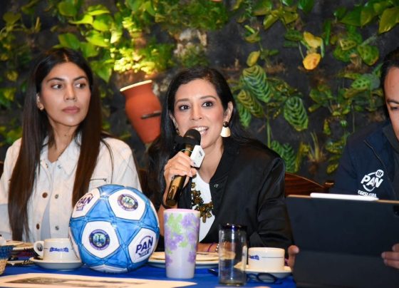 Este año, Morena habrá de recibir 143 millones 670 mil pesos, mientras que al PAN le tocan 132 millones 891 mil pesos, más que el doble de su aliado el PRI, que apenas alcanza 62 millones de pesos. FOTO: Especial