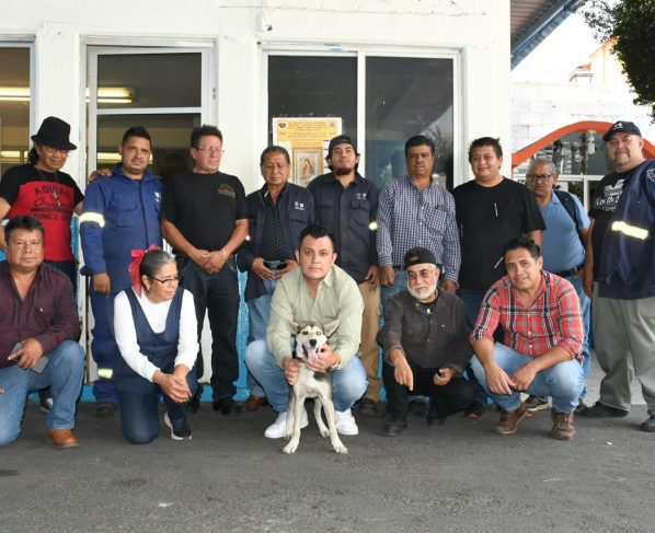 En Benito Juárez se impulsa una cultura que reconoce a los animales de compañía como seres sintientes, con derecho a una vida digna y segura.