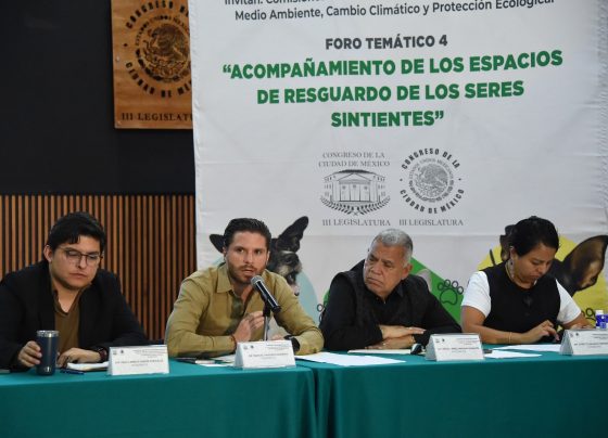 En el Congreso de la Ciudad de México se llevó a cabo el cuarto foro temático sobre la protección de los seres sintientes, de un total de cinco, cuyas opiniones y propuestas de los participantes contribuirán a la elaboración de la Ley de Albergues y Refugios de Animales capitalina.