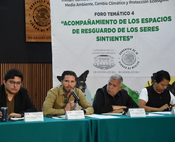 En el Congreso de la Ciudad de México se llevó a cabo el cuarto foro temático sobre la protección de los seres sintientes, de un total de cinco, cuyas opiniones y propuestas de los participantes contribuirán a la elaboración de la Ley de Albergues y Refugios de Animales capitalina.