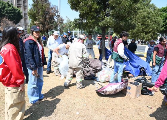 El despliegue interinstitucional abarcó dos puntos sobre la Avenida Paseo de la Reforma: uno a la altura de la calle Violeta, y otro en el cruce en Eje 1, en la colonia Morelos, donde se logró: