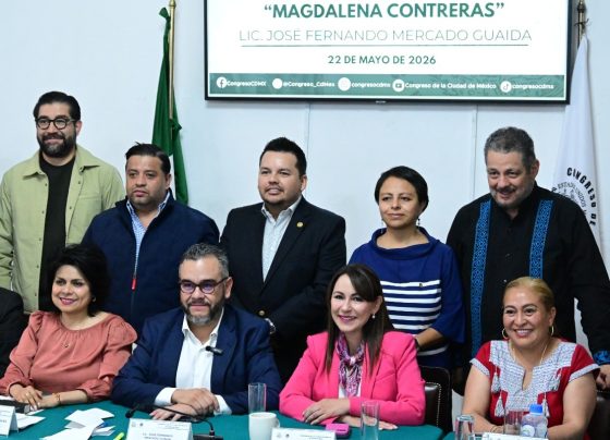 El alcalde de La Magdalena Contreras, José Fernando Mercado Guaida, compareció este viernes ante comisiones del Congreso de la Ciudad de México para informar sobre los avances y resultados de su gestión, así como las acciones pendientes en esa demarcación. FOTO: Especial